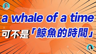 a whale of a time可不是「鯨魚的時間」