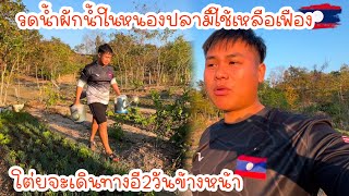 รดน้ำผักน้ำในหนองปลามีใช้้เหลือเฟืองโต่ยจะเดินทางอี2วันข้างหน้า|ToiyYoiy