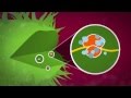How antibiotics work How antibiotics work