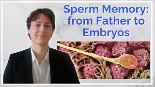 Sperm Memory Through Epigenetic : A Study Review