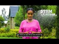 stempower ethiopia episode 88 paper making and recycling