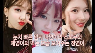 [TWICE] 눈치 빠른 엄귀 나연이의 스노우와 채영이 먹는 모습 찍은 정연이