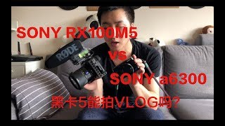 【BIG东东】这小相机还不错 SONYRX100M5(黑卡5） VS SONYa6300