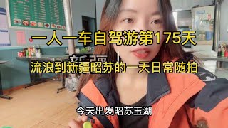 一人一车自驾游第175天，流浪到新疆昭苏的一天日常随手拍【沫沫自驾游】