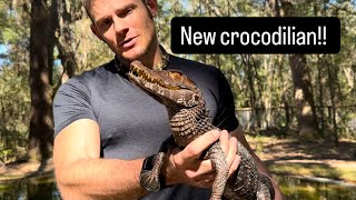 New crocodilian!!