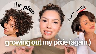 Here's how to ACTUALLY grow out your curly pixie