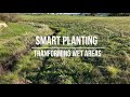 Smart Planting: Transforming wet areas on-farm