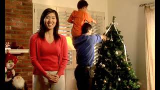2006 JC Penney Holiday - Decorating - Chinese