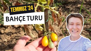 Bahçe Turu Temmuz 2024 | Bitki Bakımı Vlog Ev Yeşili 👩‍🌾