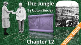 Chapter 12 - The Jungle by Upton Sinclair