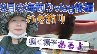 【9月の海釣りVlog後編】ハゼ釣りと初めての泳がせ#釣りガール #釣り #ハゼ釣り