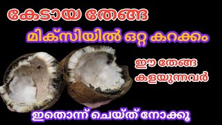 കേടായ തേങ്ങ കളയല്ലേ..❌ഇങ്ങനെ ചെയ്താൽ മതി .. Coconut/useful tips..#usefultips  #kitchantips