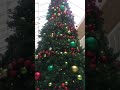 اجواء الكرسمس عيد الميلاد المجيد بدأت 🎄christmas session