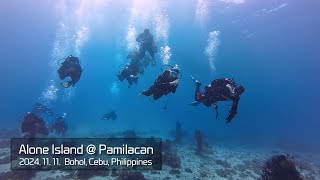 보홀 파밀라칸 다이빙 그리고 잭피쉬... Pamilacan Island Diving