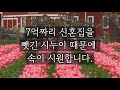 7억 신혼집 하루만에 날린 시누이