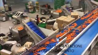 VIDEO IMPIANTO LAVORAZIONE CAROTE