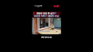 형님! 저 빤스(?) 많아요♥ 덱스가 차태현을 잡는 방법ㅋㅋ #언니네산지직송 EP.6