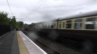 D1015 On 1Z53 Plymouth/Tyseley Steam Trust 10.5.14.