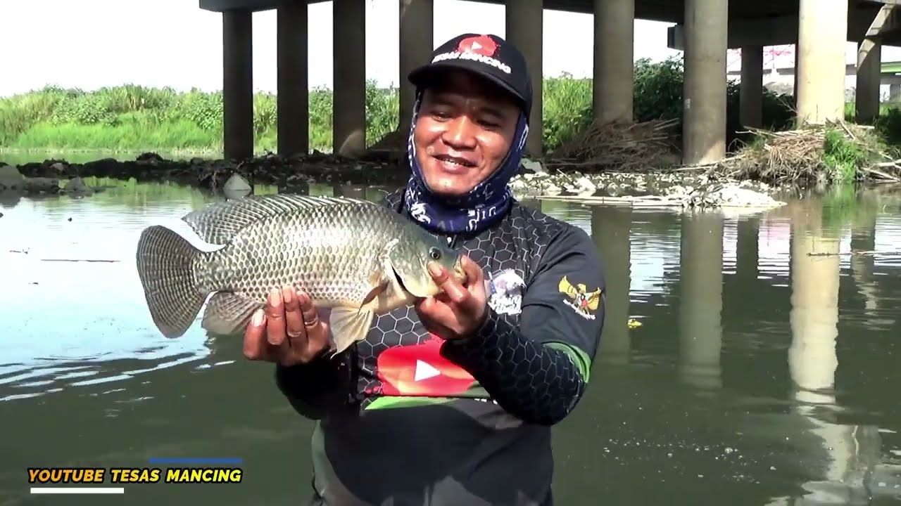 Di Luar Dugaan Mancing Di Spot Ini Ikan Nila Nya BABON Semua Tarikannya ...