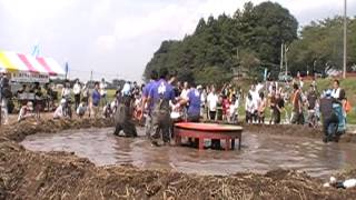 どろんこかかし相撲大会2012