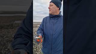 Oesters, direct van de oesterbank. We varen mee met Werner van de Oesterfabriek op Terschelling