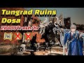 [BDO] Dosa Tungrad Ruins 28400 Trash/hr Lv2 LS No Nodewar Buff (9 Birds) 도사 툰그라드 유적지 콤보 특화 상줌 거점전버프X