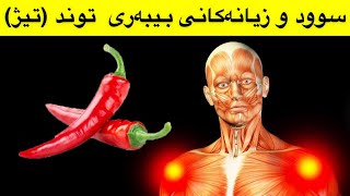 ئایه‌ جه‌سته‌ت دوای خواردنی بیبه‌ری تیژ چی به‌سه‌ر دێت ؟ سوود و زیانه‌كانی چین ؟؟🤔