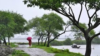 বৃষ্টি ভেজা গ্রাম বাংলা / বাংলার অসাধারণ কিছু দৃশ্য / New Videos 2021