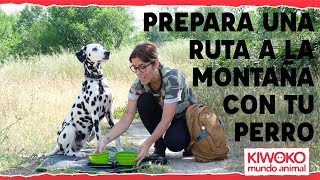 RUTAS de Senderismo con PERROS 🐕🌄【TODO LO NECESARIO】✅✅