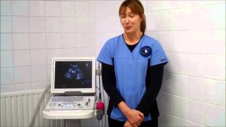 Mayne Veterinary Clinic Mindray Z5 from BCF Technology video