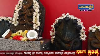 ನಾಗ ಪ್ರತಿಷ್ಠೆ ||  ಕಾಶಿಪಟ್ಣ ಶ್ರೀ ಆದಿಶಕ್ತಿ ಅಮ್ಮನವರ ದೇವಸ್ಥಾನ ಸನ್ನಿಧಿ