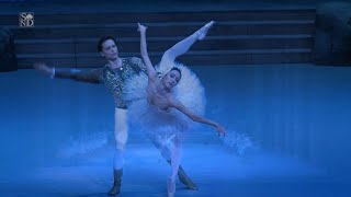 SWAN LAKE- pas de deux, Nov. 2023 premiere (prima ballerina Tatum Shoptaugh)