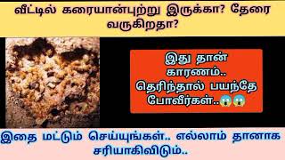 வீட்டில் கரையான் புற்று, தேரை வந்தால் இது தான் காரணம்..இதை சரி செய்தாலே போதும் எல்லாம் சரியாகிவிடும்