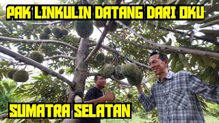 PAK LINKULIN DATANG DARI OKU SUMATRA SELATAN ‼️ DURIAN MENJALIN PERSAUDARAAN 💯🧡