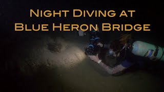 Night Diving at Blue Heron Bridge: Exploring West Palm Beach Underwater