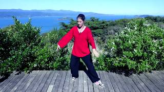 UPDATED: Tai chi 5 Min a Day Module 03 - Parting Horses Mane - Double Spiral - One  Camera New Music