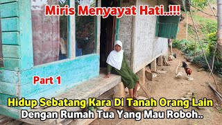 Miris.. Mak Tiah Nestapa Lansia Hidup Sebatang Kara Tinggal Di Rumah Tak Layak Huni