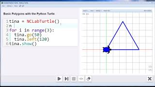 STEAM Python Turtle Simple Polygons