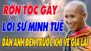 RÙNG MÌNH Trước Lời Thầy Minh Tuệ Căn Dặn Anh Đen Trước Khi Rời Nha Trang Về Gia Lai