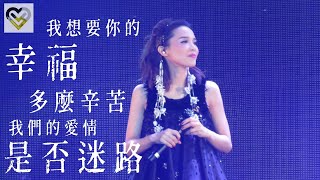 [1080p]【幸福（戀上痛苦國語版）】  - 《方皓玟 My Spiritual Live 演唱會 2017》