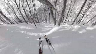 Hakuba Cortina Tree Runs