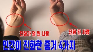 자신이 진화 된 사람인지 확인하는 방법(우리 몸에 남아 있는 진화된 흔적 4가지)