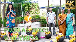 Olympia Pongal Celebration 2024 - Navalur TheCutieCubs