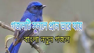 bangla new gojol/ তারায় বরা নিল আচমান / taray bora nil achman/ first islamic tv