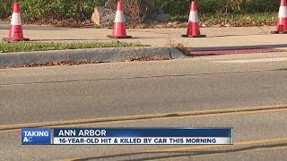 Student dies in accide while walking to school in Ann Arbor