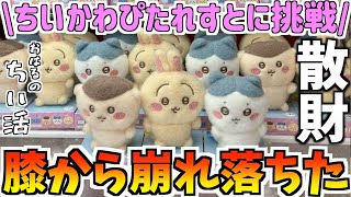 【ちいかわ】最新プライズぴたれすとに挑戦！【ちいかわクレーンゲーム】【ちいかわUFOキャッチャー】【chiikawa】【おはるのちい活】【ちい活vlog】【ちいかわ新商品】