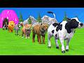 Paint & Animals Cow,Gorilla,Elephant,Lion,Tiger,Dinosaur, Fountain Crossing Transformation Cartoon