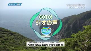 GOTO！ジオの声ー大瀬崎粗粒玄武岩の平行岩脈群編ー