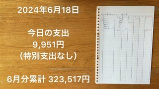 【家計簿】2024年6月18日 今日の支出/少子化が加速したのは、非正規雇用を導入した竹中平蔵のおかげです。企業の非正規雇用率が、その企業の法人税率になったら、正規雇用率上がって、少子化も鈍化するかな