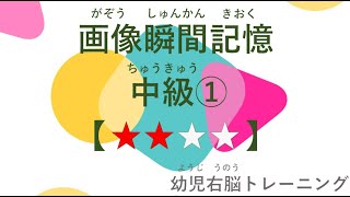 【画像瞬間記憶★★☆☆】中級① カメラのような記憶法を身につける。早期教育で天才を目指すシリーズ #カメラのような記憶 #画像瞬間記憶